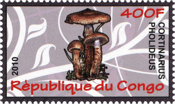 Briefmarke