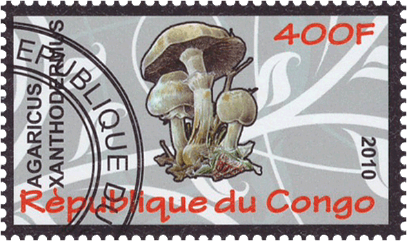 Briefmarke