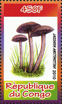 Briefmarke