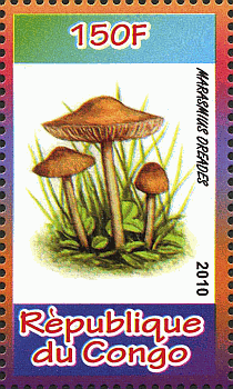 Briefmarke