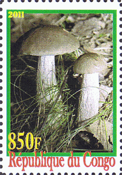 Briefmarke