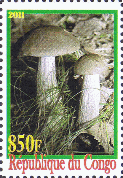 Briefmarke