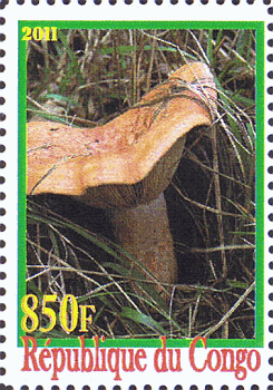 Briefmarke
