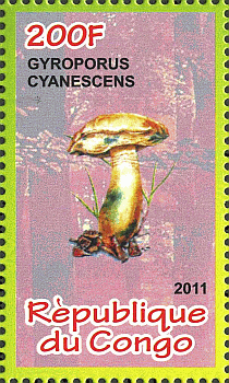 Briefmarke