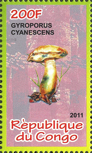 Briefmarke