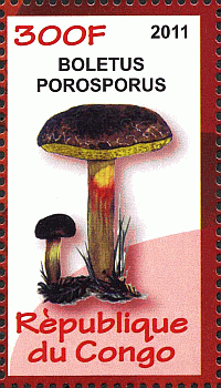 Briefmarke