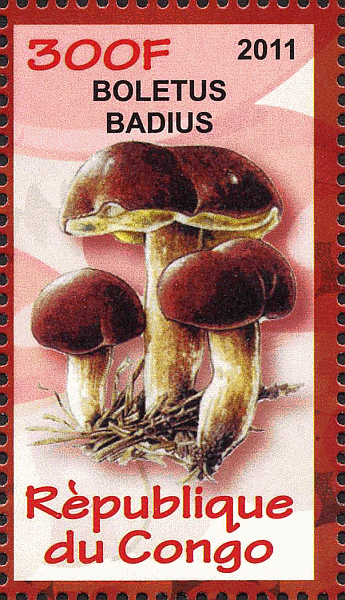 Briefmarke