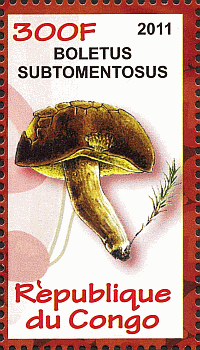 Briefmarke