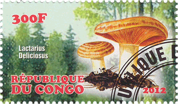 Briefmarke
