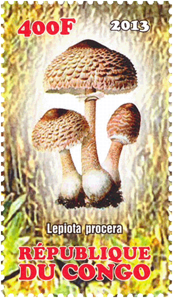 Briefmarke