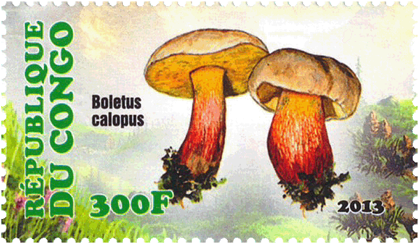 Briefmarke