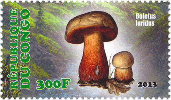 Briefmarke