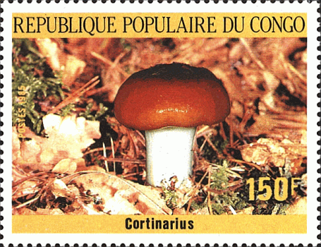 Briefmarke