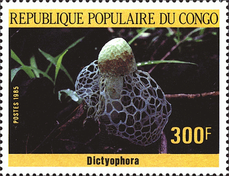 Briefmarke