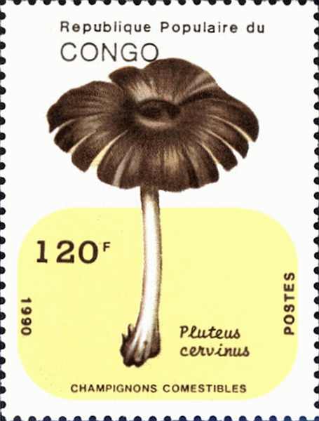 Briefmarke