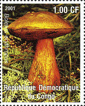 Briefmarke