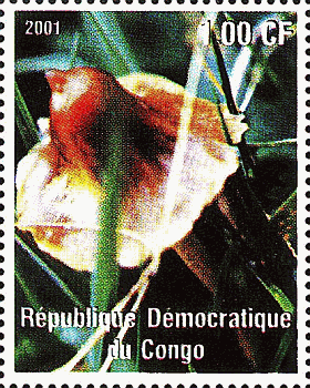 Briefmarke