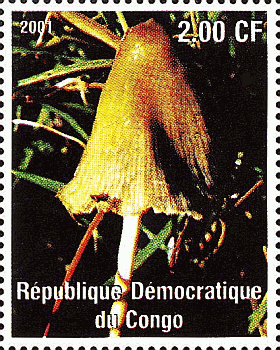 Briefmarke
