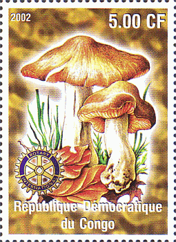 Briefmarke