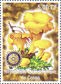 Briefmarke