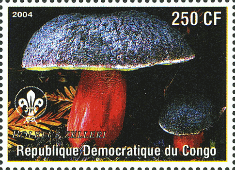 Briefmarke