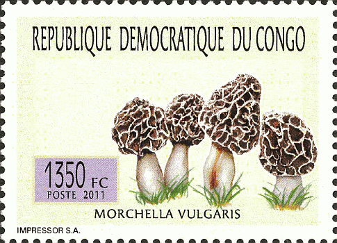 Briefmarke