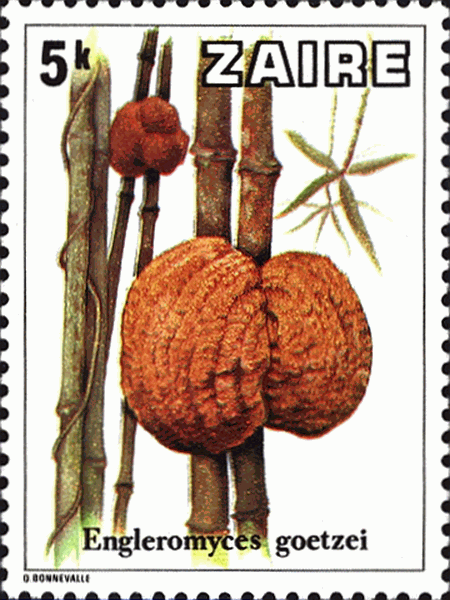Briefmarke