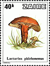 Briefmarke