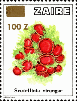 Briefmarke