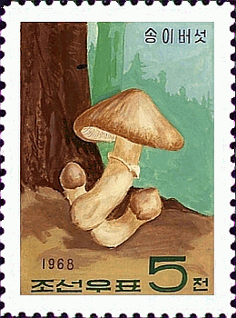 Briefmarke