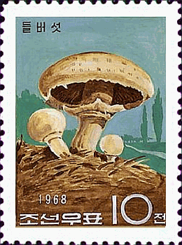 Briefmarke