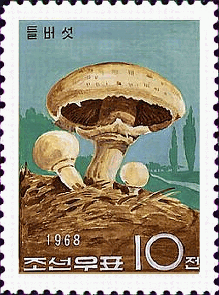 Briefmarke