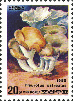 Briefmarke