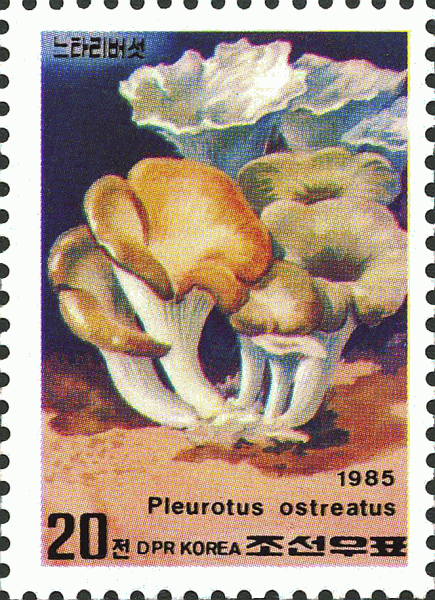 Briefmarke
