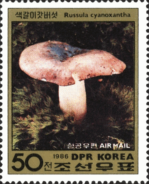 Briefmarke