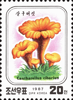 Briefmarke