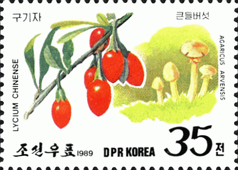 Briefmarke