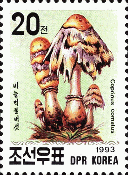 Briefmarke