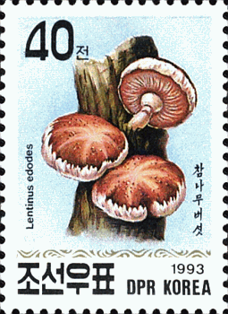 Briefmarke