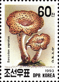 Briefmarke