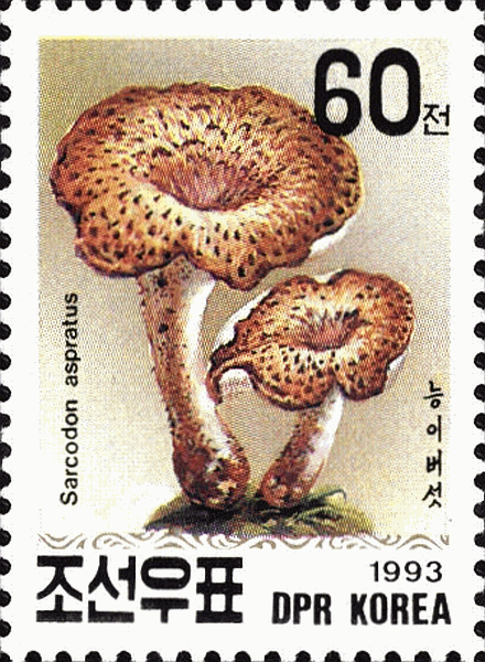 Briefmarke