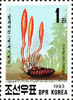 Briefmarke