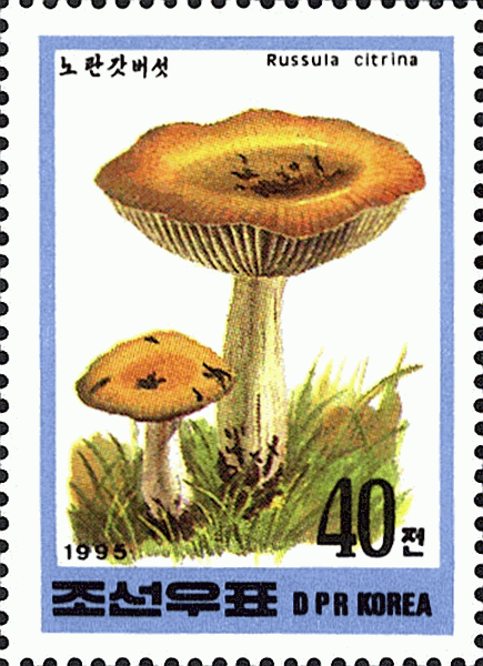 Briefmarke