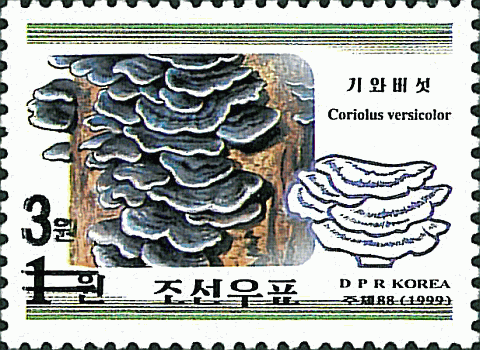 Briefmarke