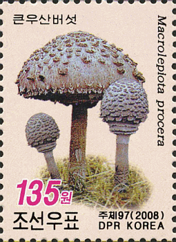 Briefmarke