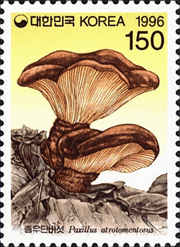 Briefmarke