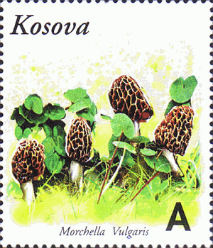 Briefmarke