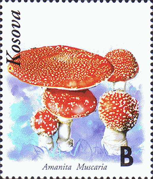 Briefmarke
