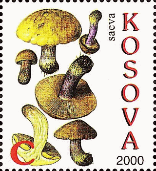 Briefmarke
