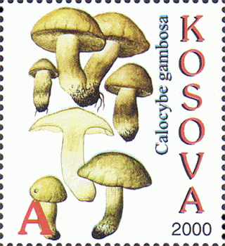 Briefmarke